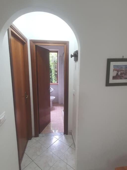 Ccc Holiday Properties Le Vele Ccc Montalto di Castro Exteriör bild
