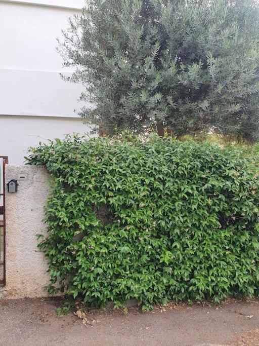 Ccc Holiday Properties Le Vele Ccc Montalto di Castro Exteriör bild
