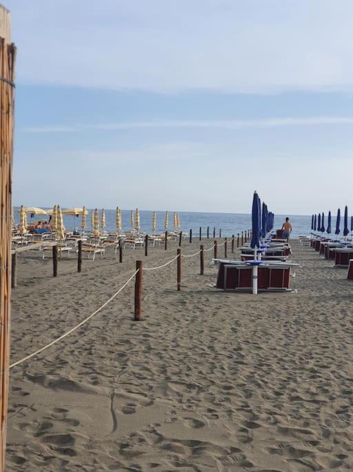 Ccc Holiday Properties Le Vele Ccc Montalto di Castro Exteriör bild