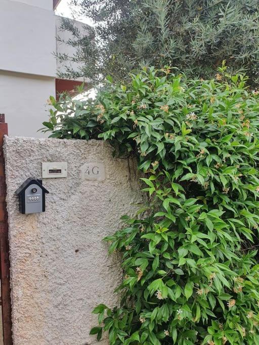 Ccc Holiday Properties Le Vele Ccc Montalto di Castro Exteriör bild