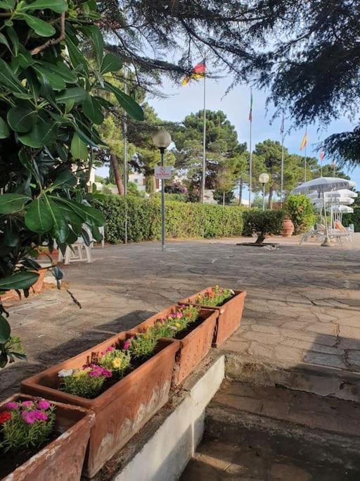 Ccc Holiday Properties Le Vele Ccc Montalto di Castro Exteriör bild